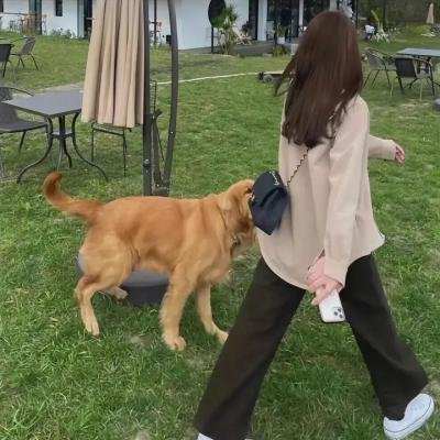 厄孕惊魂